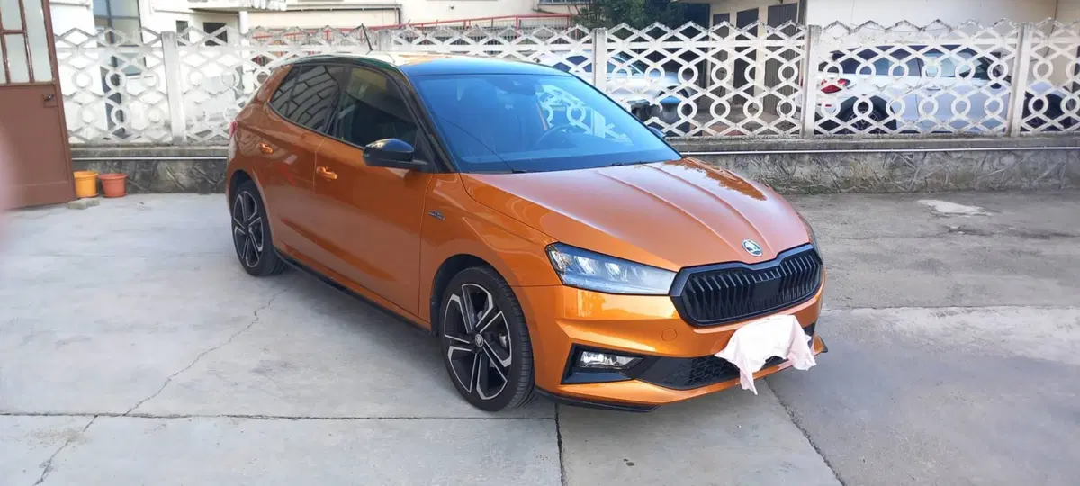 Skoda Fabia usata a Torino