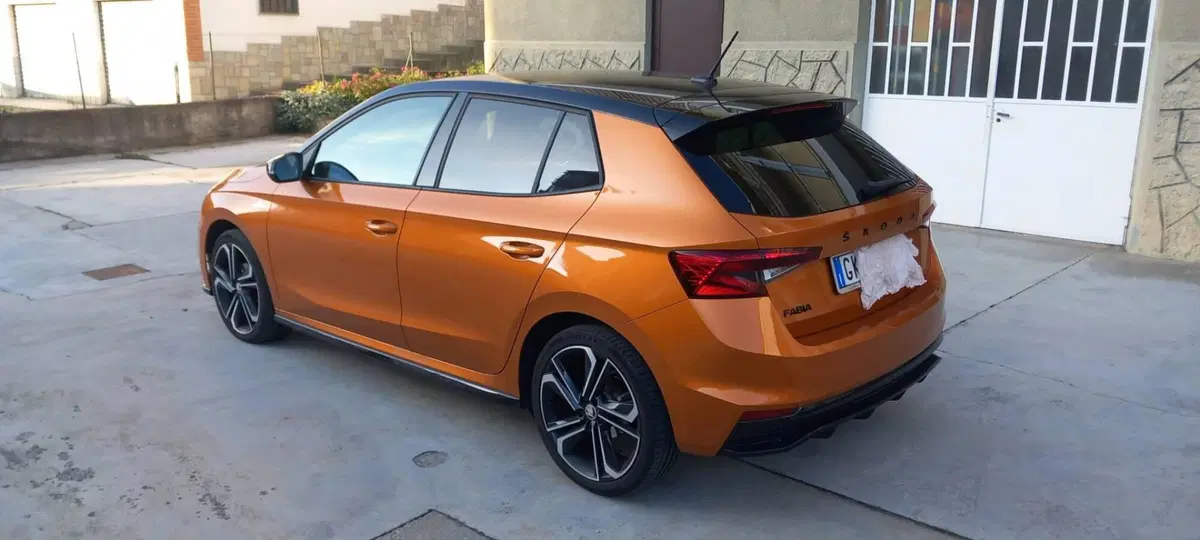 Skoda Fabia usata a Torino (8)
