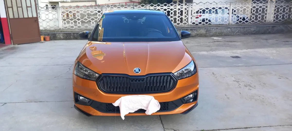 Skoda Fabia usata a Torino (10)
