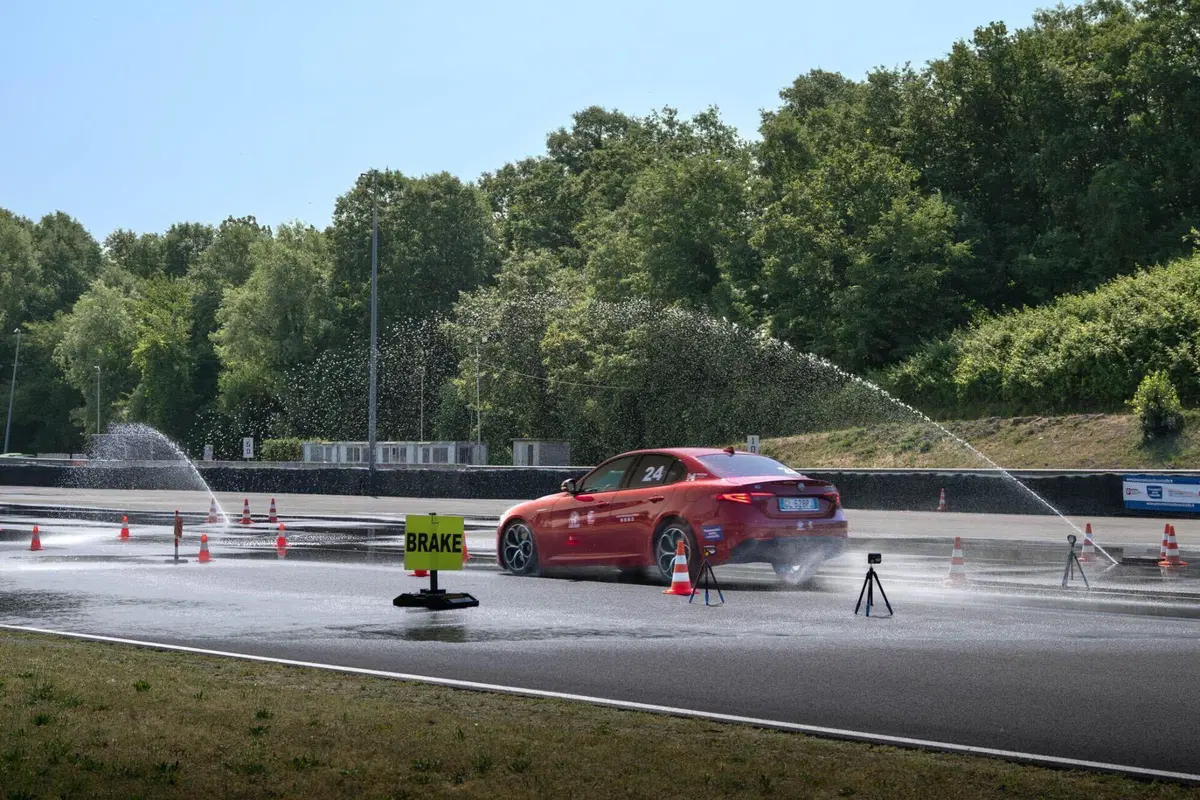 Gomme (5)