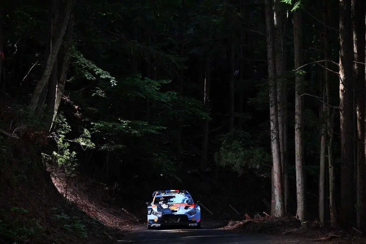 WRC26 #07 Giappone. D2. La parata Toyota continua, guidata da un Evans molto in forma. [VIDEO] (16)