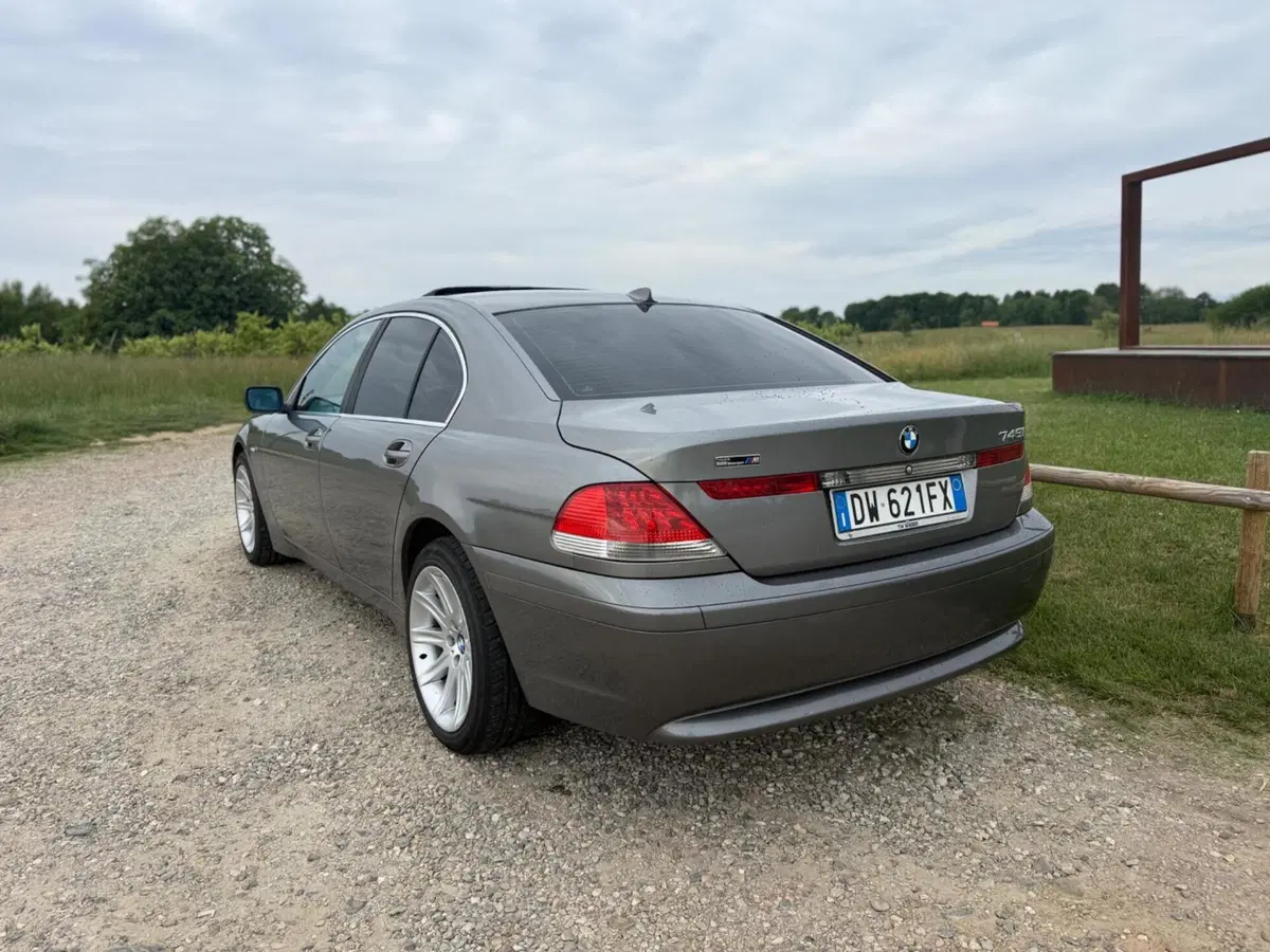 BMW Serie 7 usata a Novara (2)