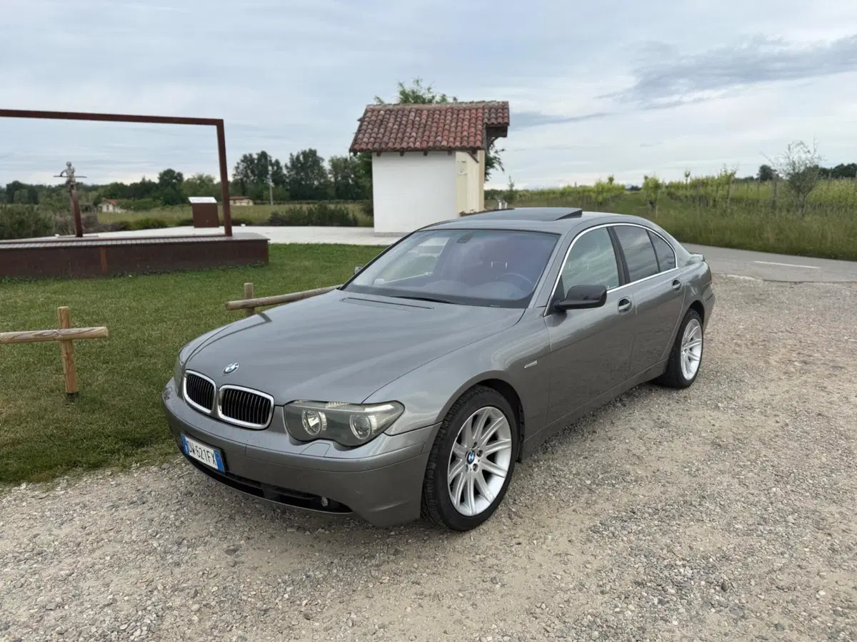 BMW Serie 7 usata a Novara (3)