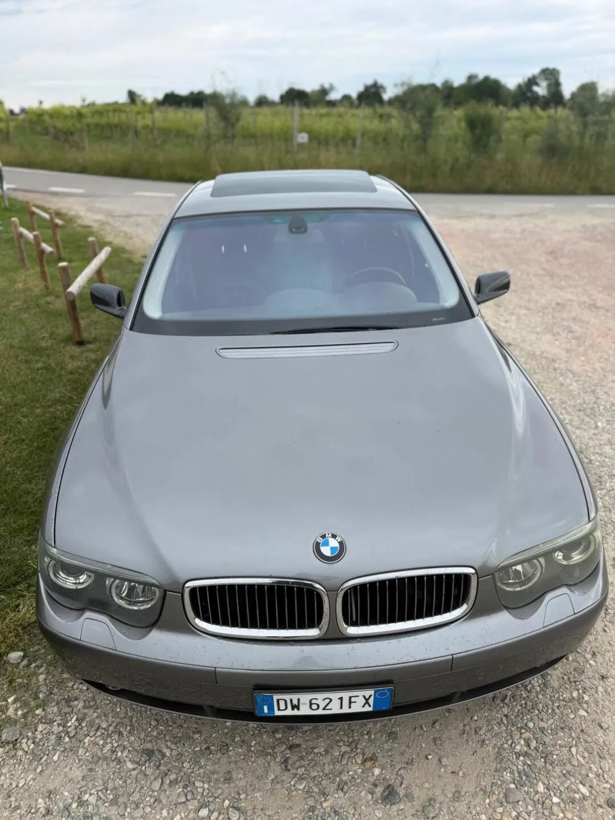 BMW Serie 7 usata a Novara (4)