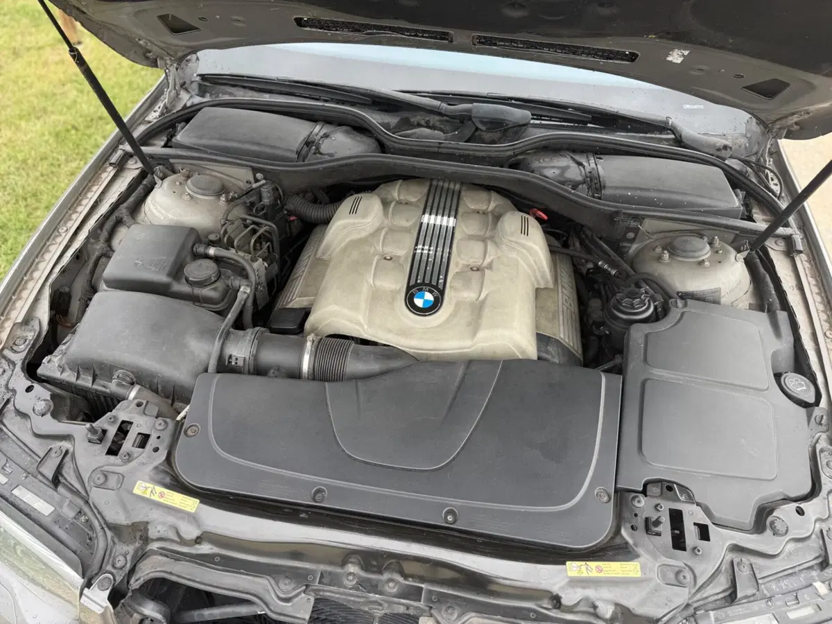 BMW Serie 7 usata a Novara (5)