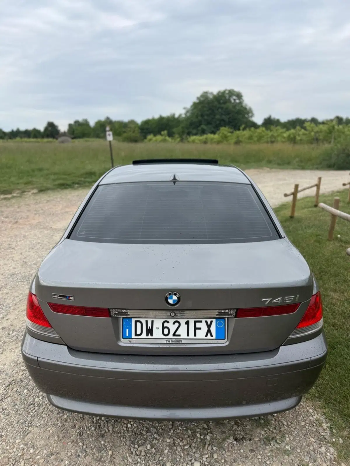 BMW Serie 7 usata a Novara (6)