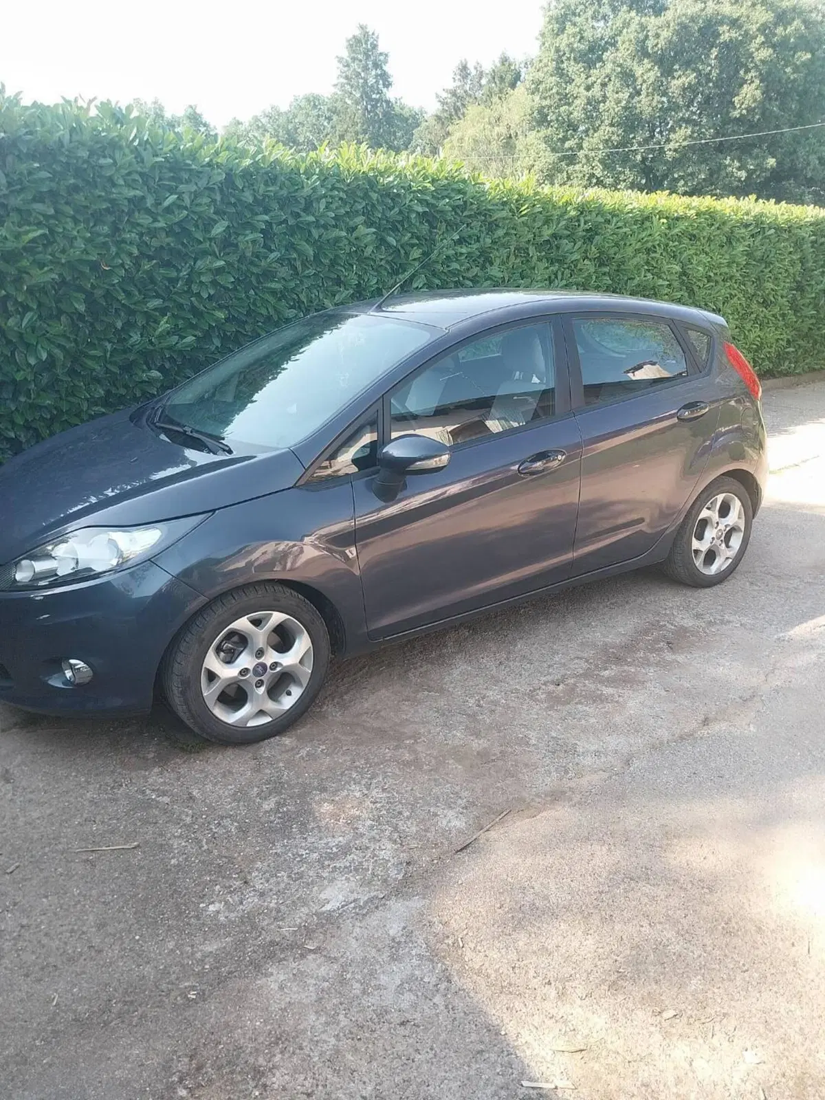 Ford Fiesta usata a Como (2)