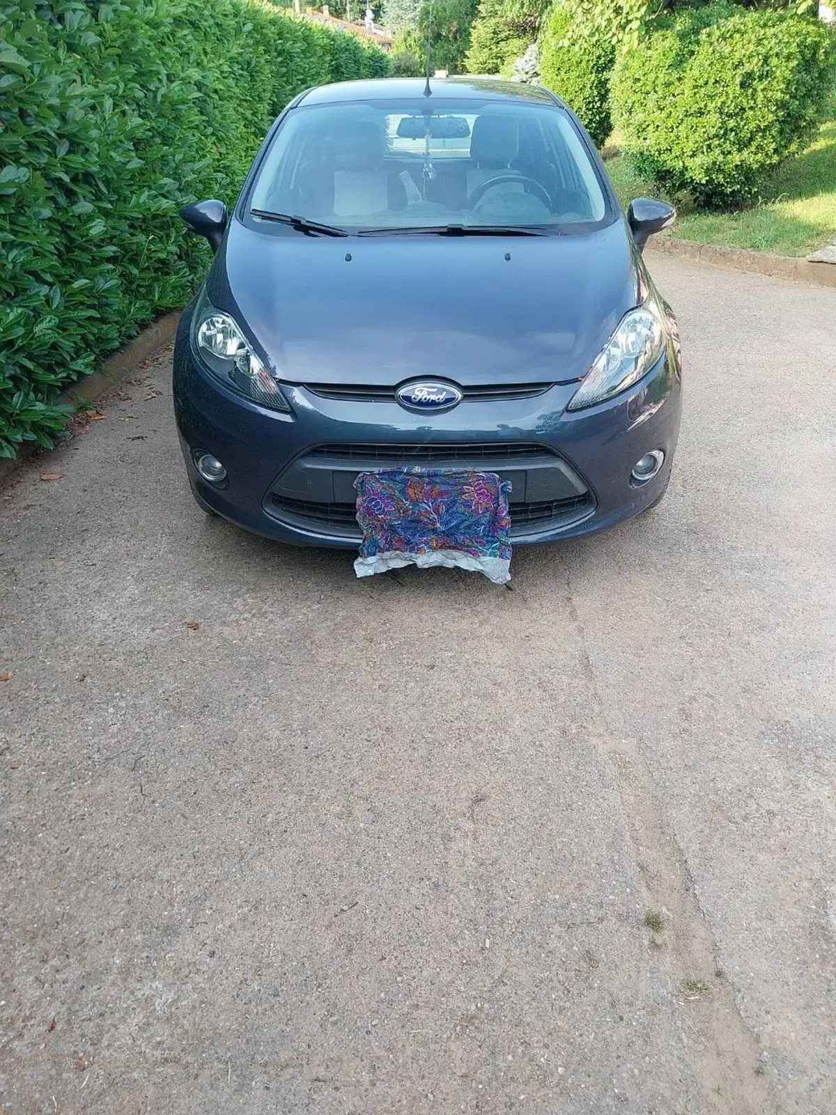 Ford Fiesta usata a Como (10)