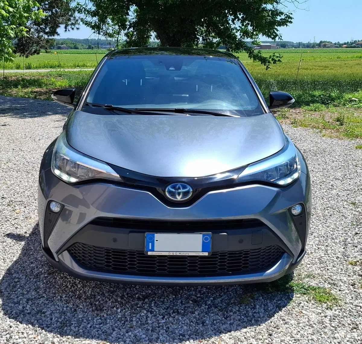 Toyota Toyota C-HR usata a Ferrara