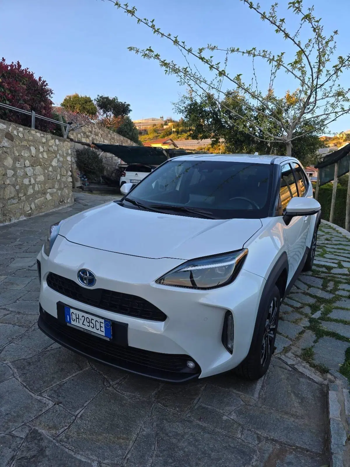 Toyota Yaris Cross usata a Imperia (3)