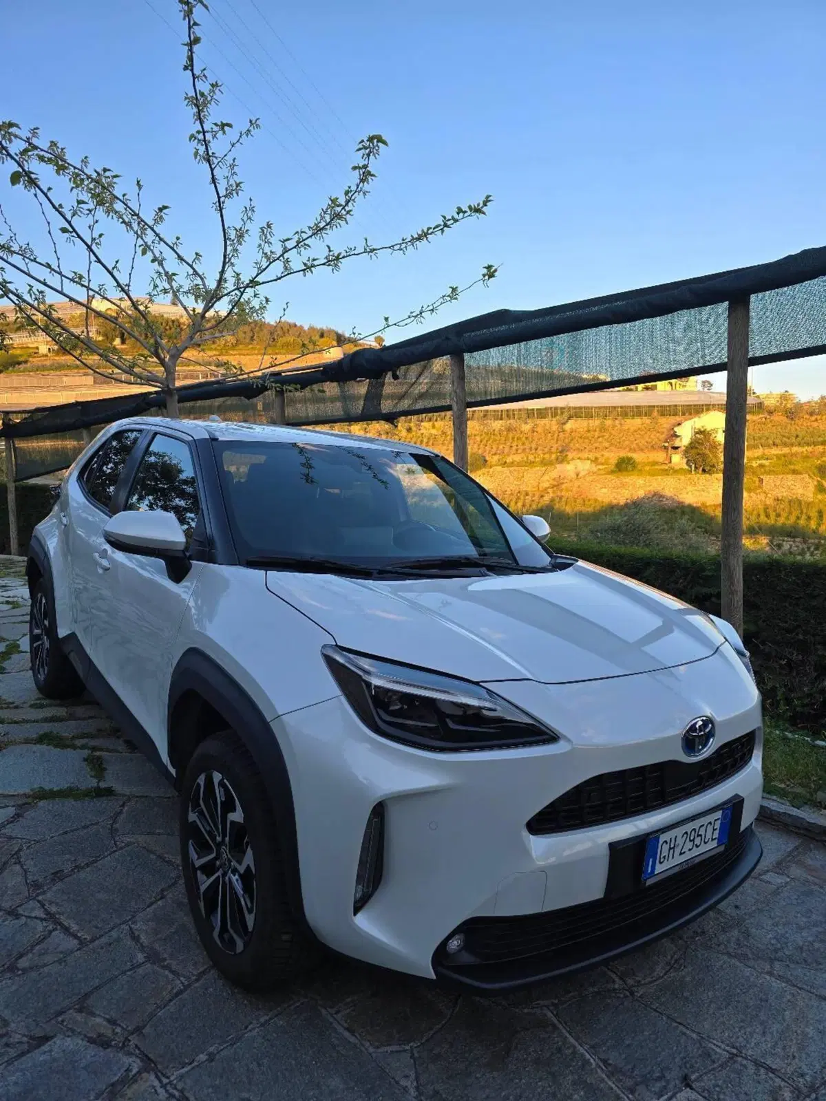 Toyota Yaris Cross usata a Imperia (4)