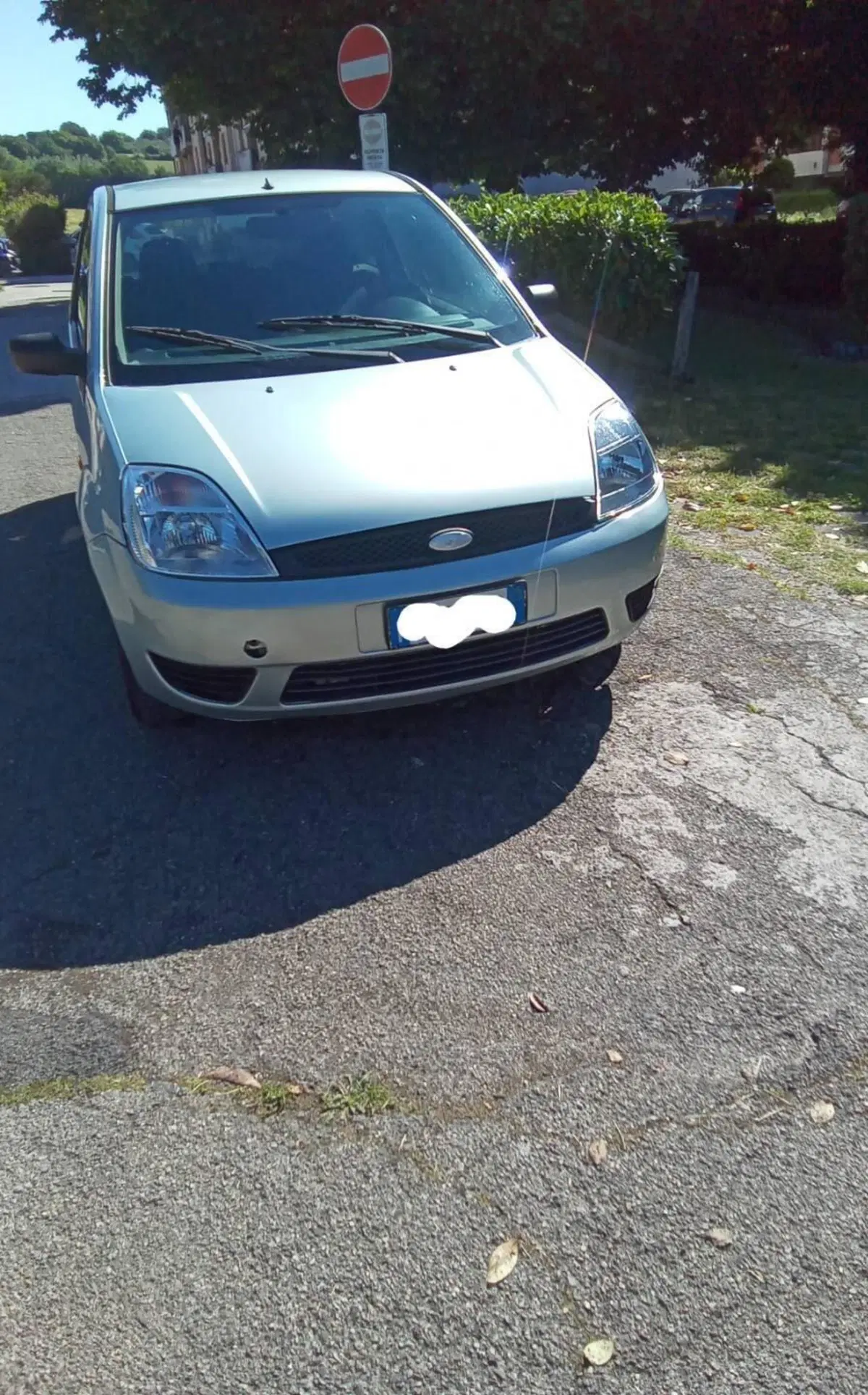 Ford Fiesta usata a Viterbo (4)