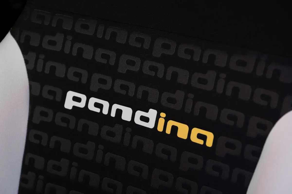 Fiat Pandina Hybrid sotto i 10.000 euro: l'auto più venduta d'Italia torna a costare come una volta (17)