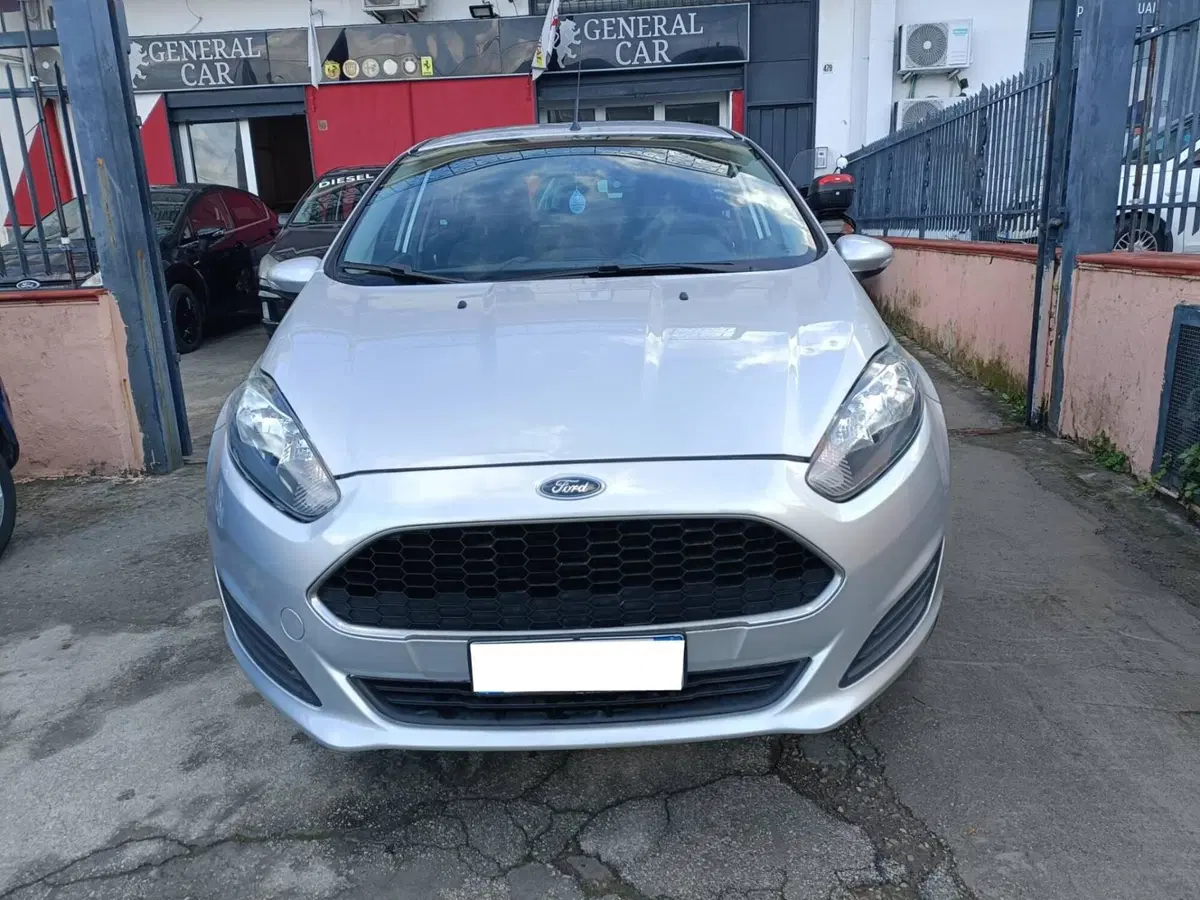Ford Fiesta usata a Napoli