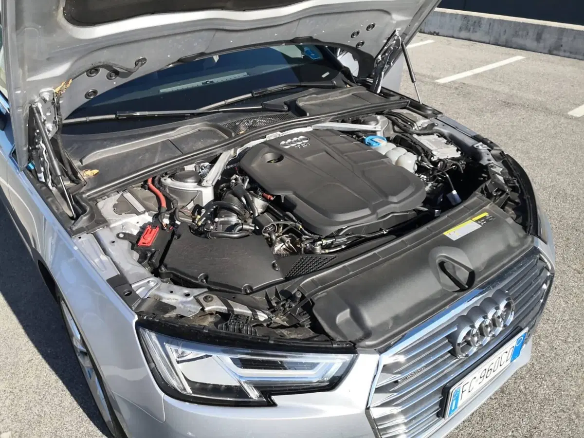 Audi A4 usata a Pordenone (12)