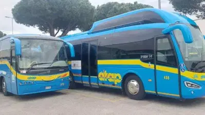 Mancano autisti in Italia: l'azienda dei bus li cerca in Marocco e paga patente e affitto