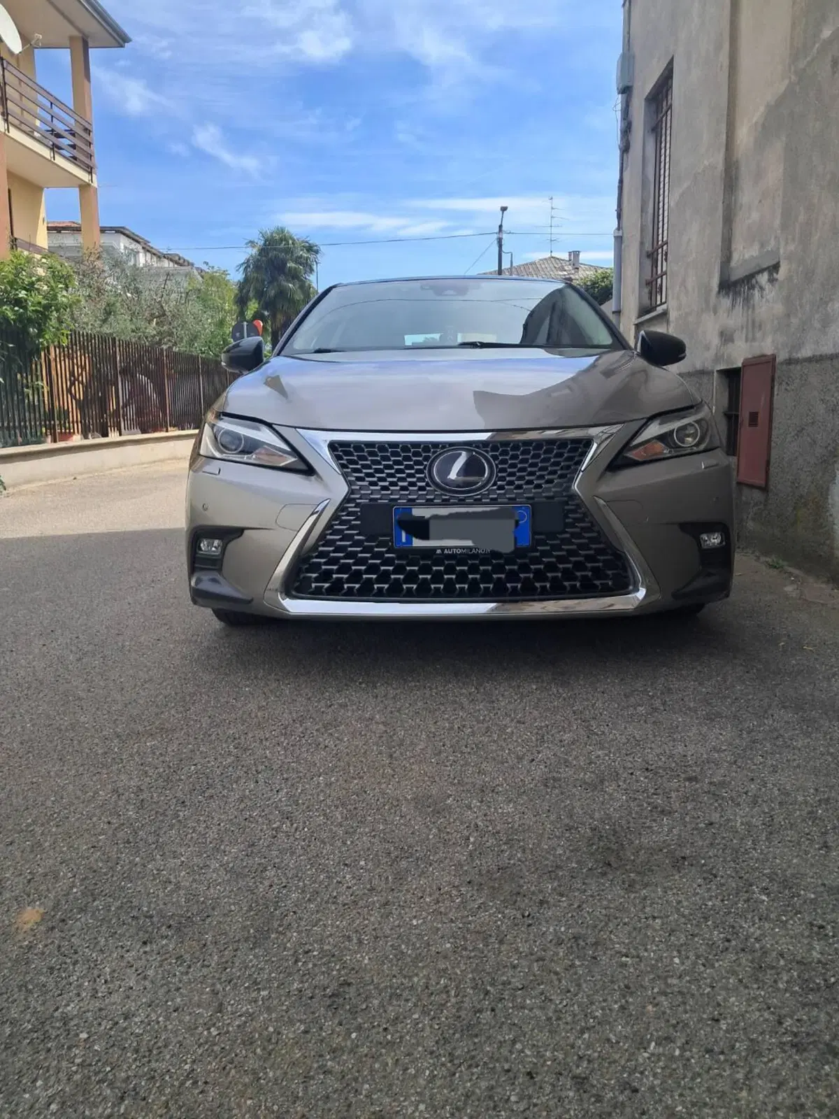 Lexus CT usata a Novara (2)