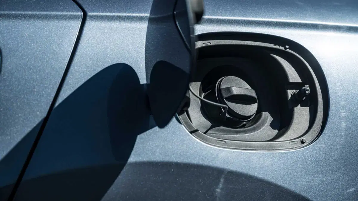 Byd Seal 6 DM-i Station Wagon (20)