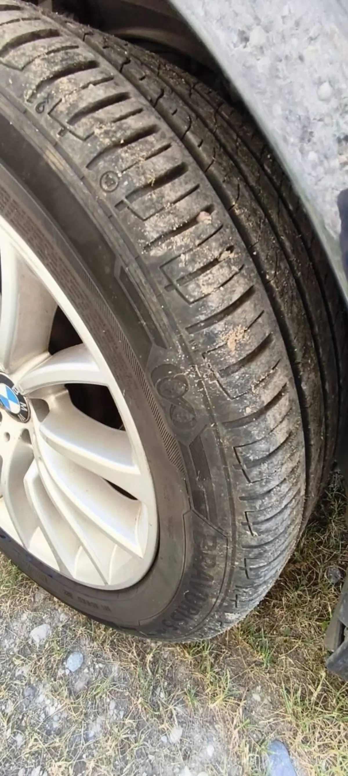 BMW Serie 5 Touring usata a Mantova (15)
