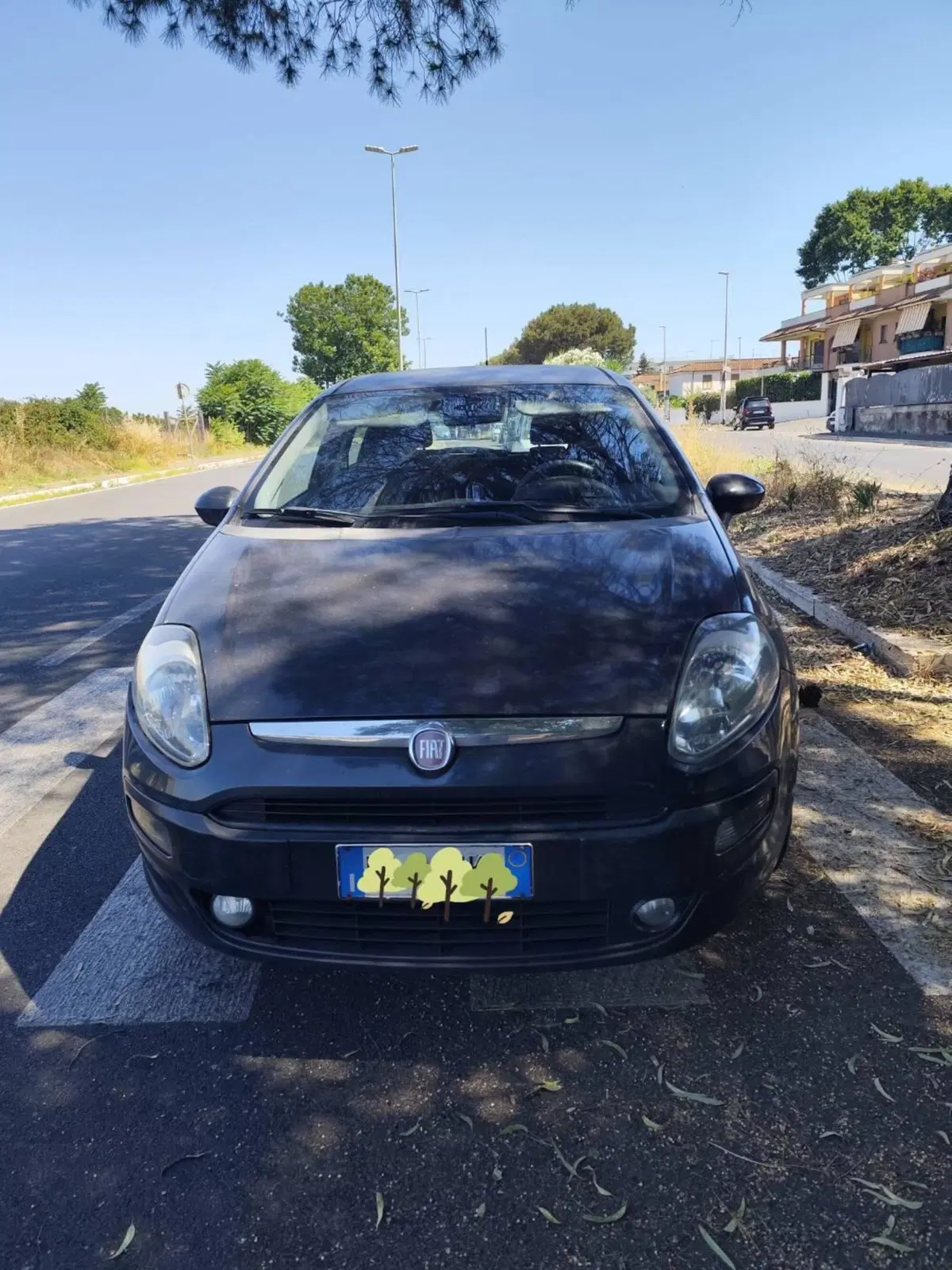 Fiat Punto Evo usata a Roma (6)