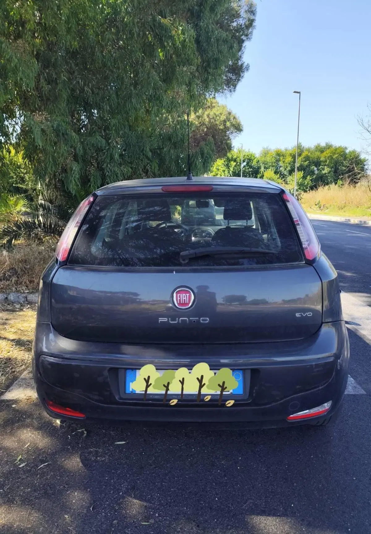 Fiat Punto Evo usata a Roma (7)