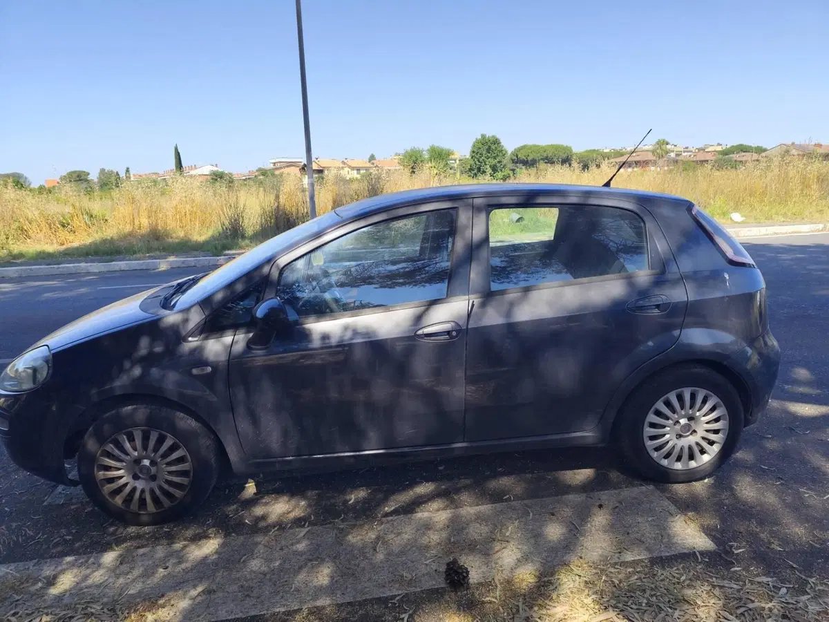 Fiat Punto Evo usata a Roma (8)