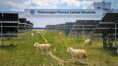 Volkswagen licenzia 100 persone e assume 100 pecore: ecco il loro sorprendente lavoro