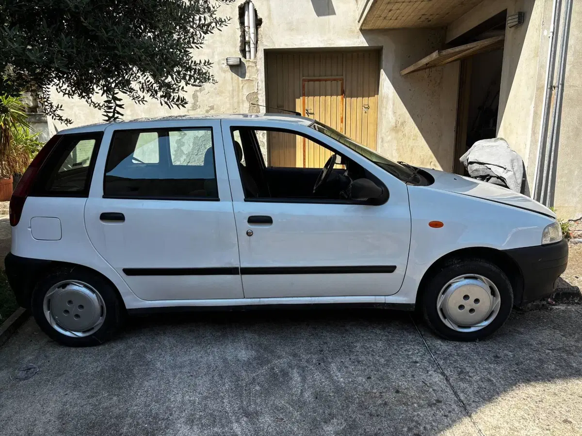 Fiat Punto usata a Firenze (2)