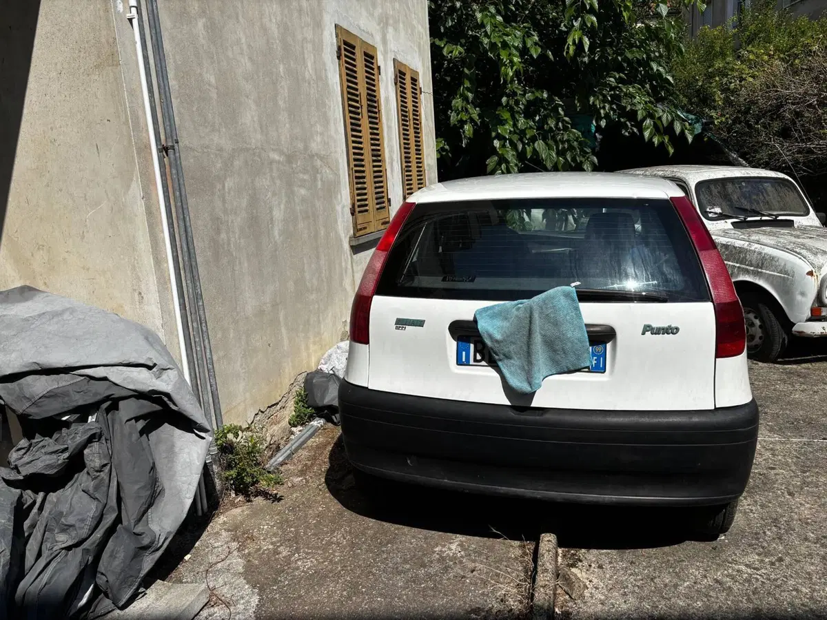 Fiat Punto usata a Firenze (4)