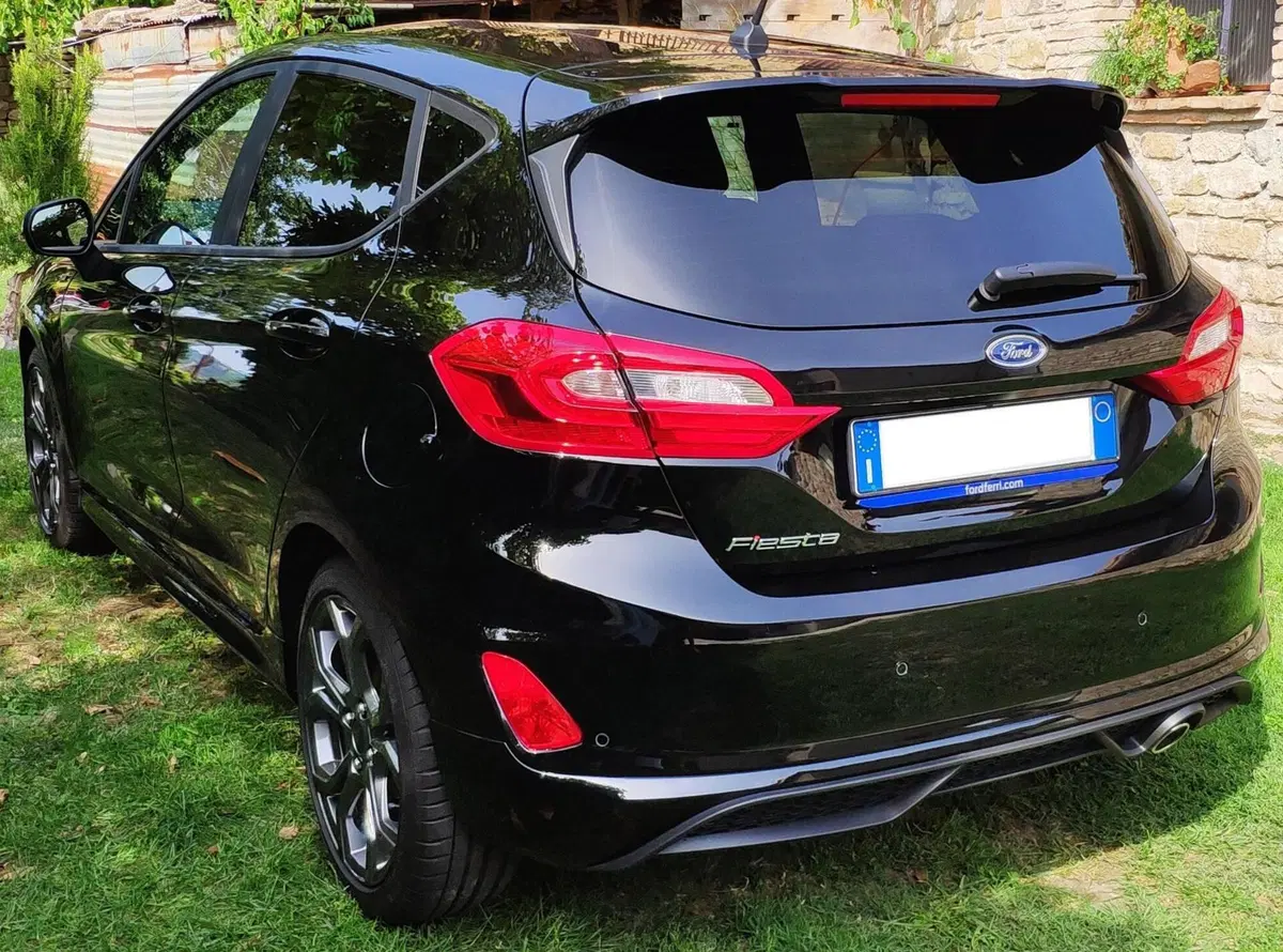 Ford Fiesta usata a Forlì-Cesena