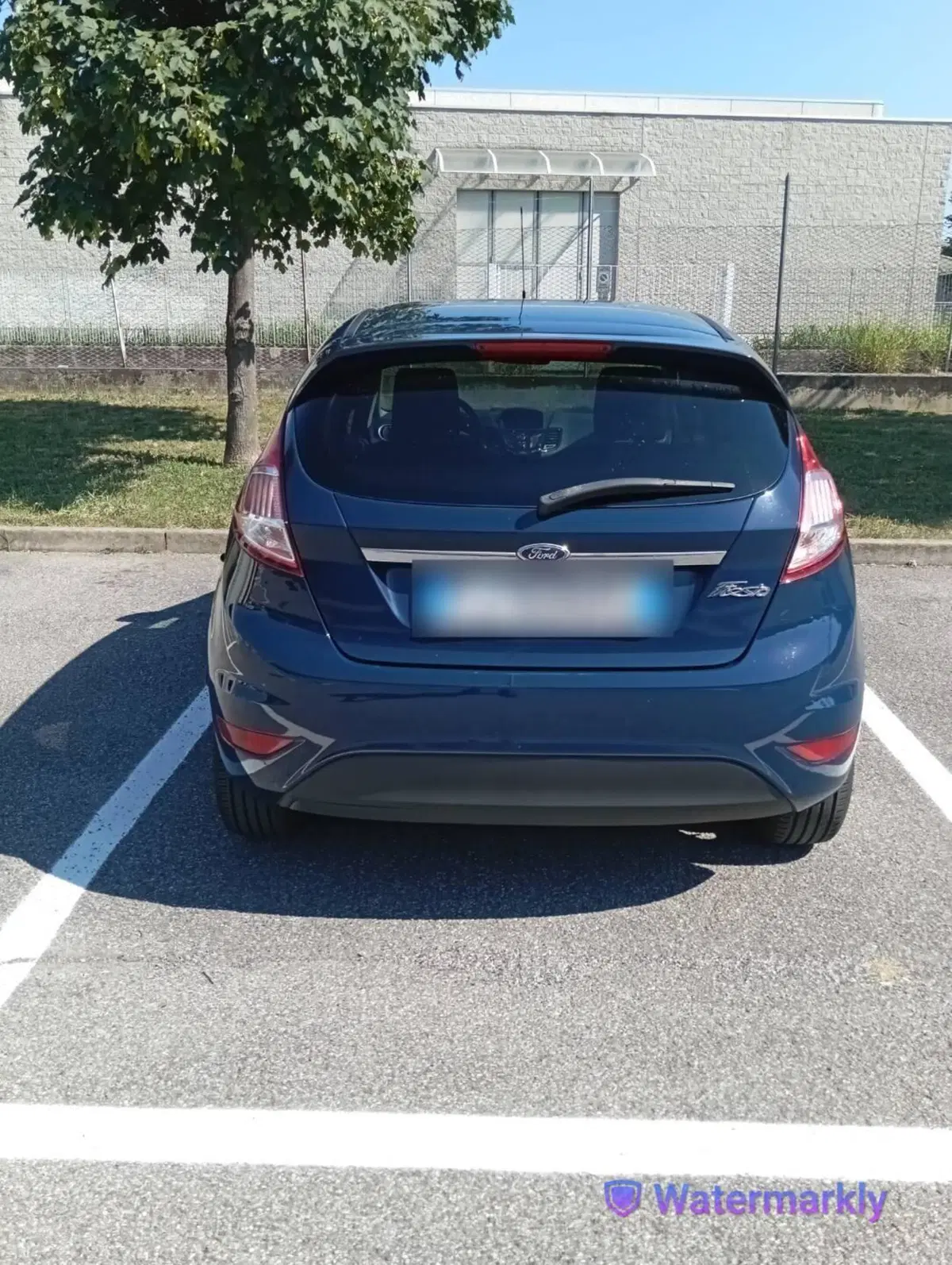 Ford Fiesta usata a Bergamo (2)