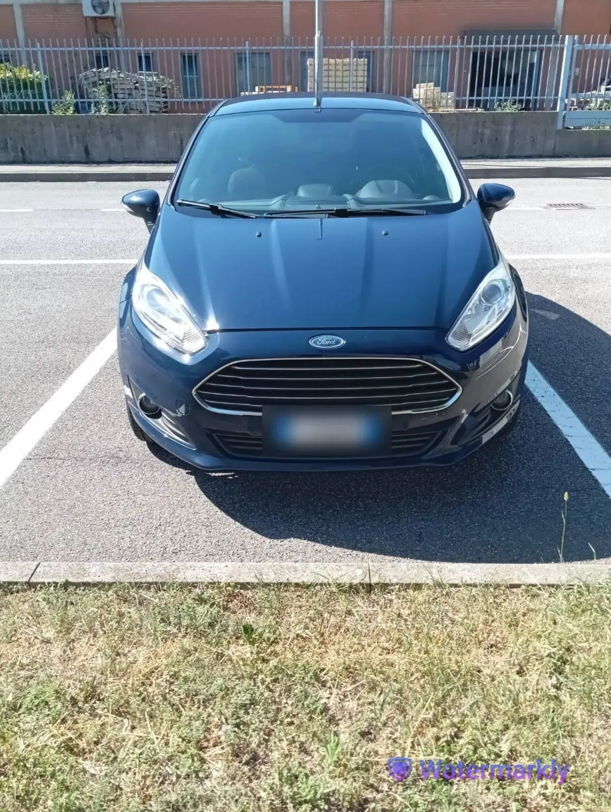 Ford Fiesta usata a Bergamo