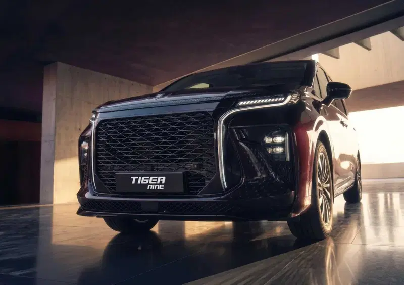 Tiger Nine (2026-->>) (2)