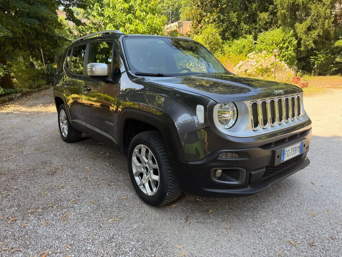 Jeep Renegade usata a Lucca (15)