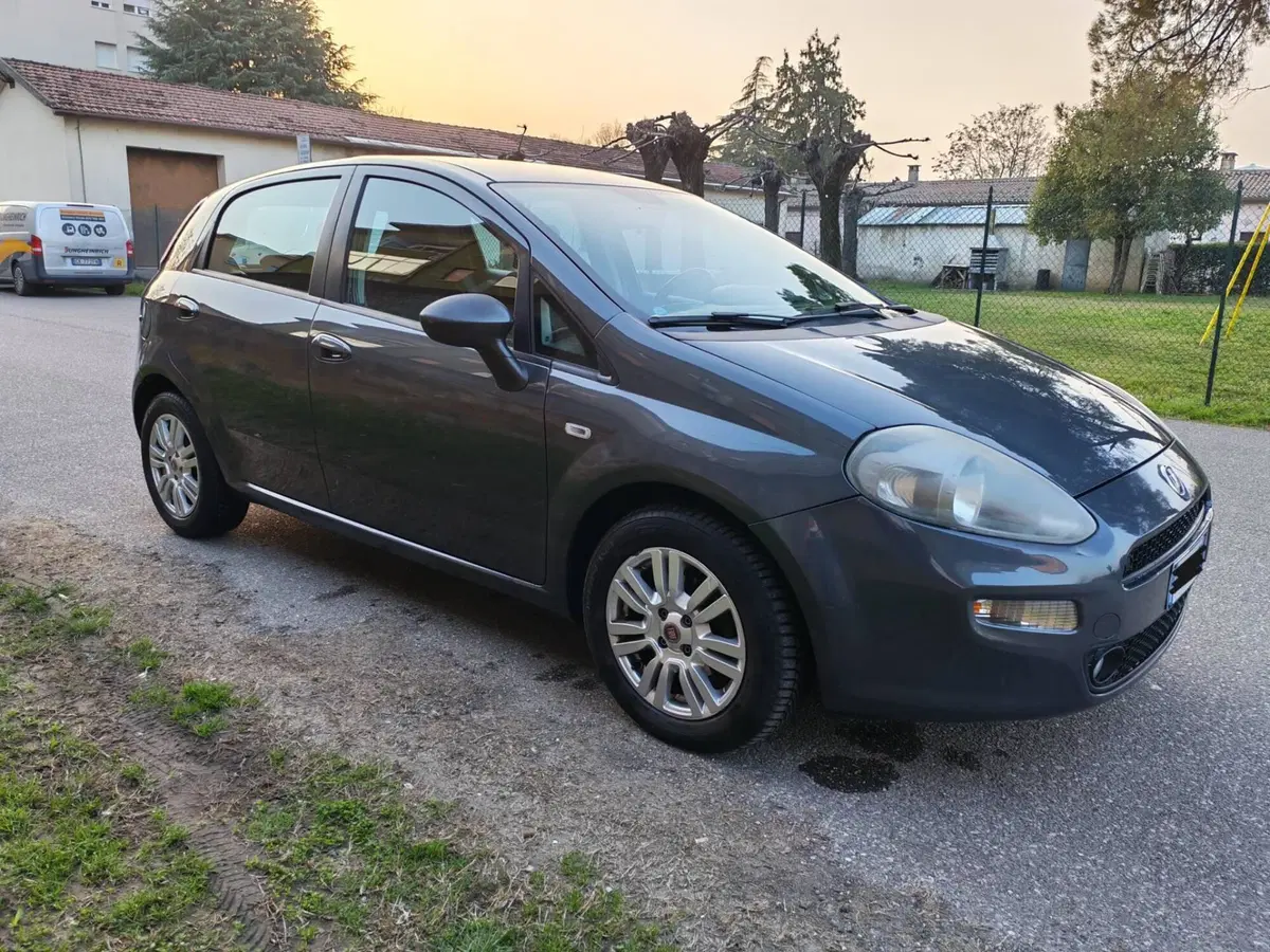 Fiat Punto usata a Verona (3)