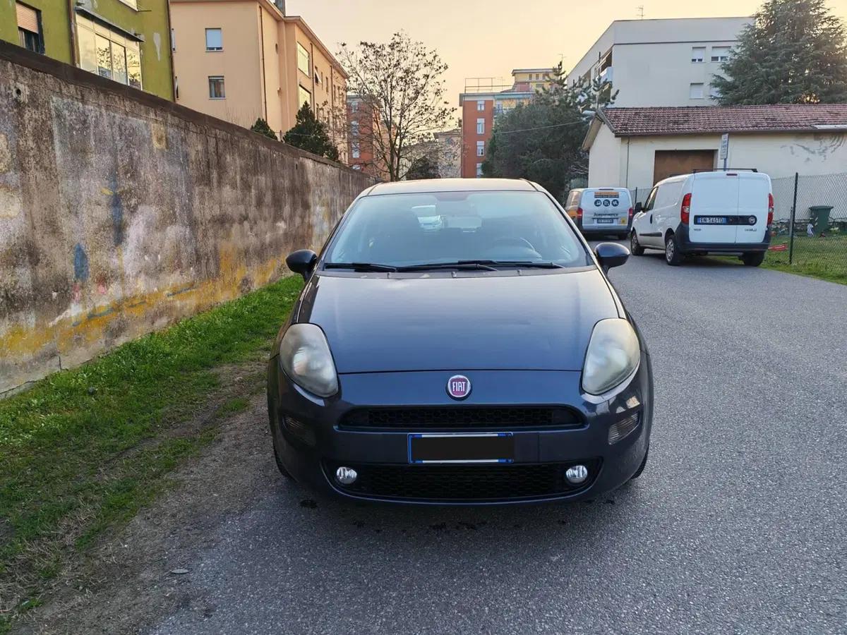 Fiat Punto usata a Verona (4)