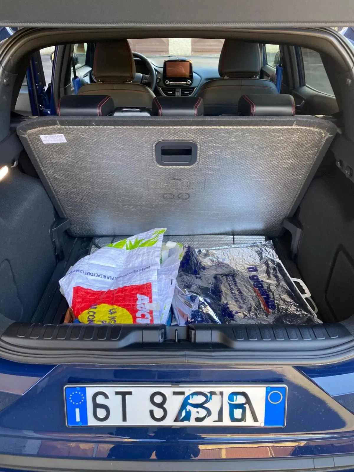 Ford Puma usata a Monza e Brianza (13)