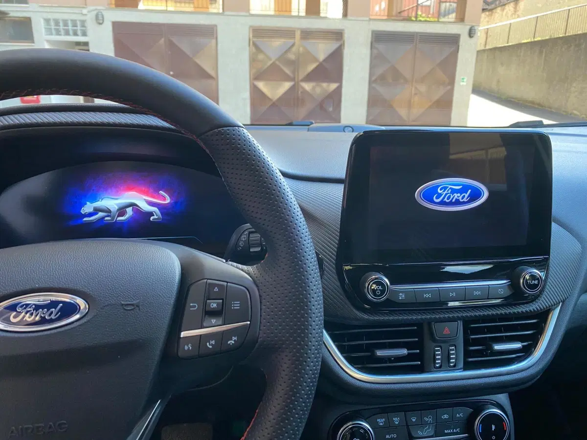 Ford Puma usata a Monza e Brianza (14)