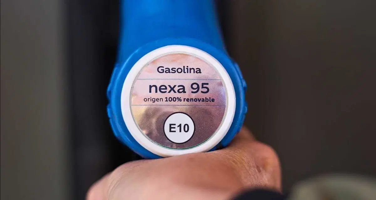 Benzina 100% rinnovabile, il test che punta dritto al 2035: Toyota, BMW, Bosch e Repsol scendono in strada in Spagna