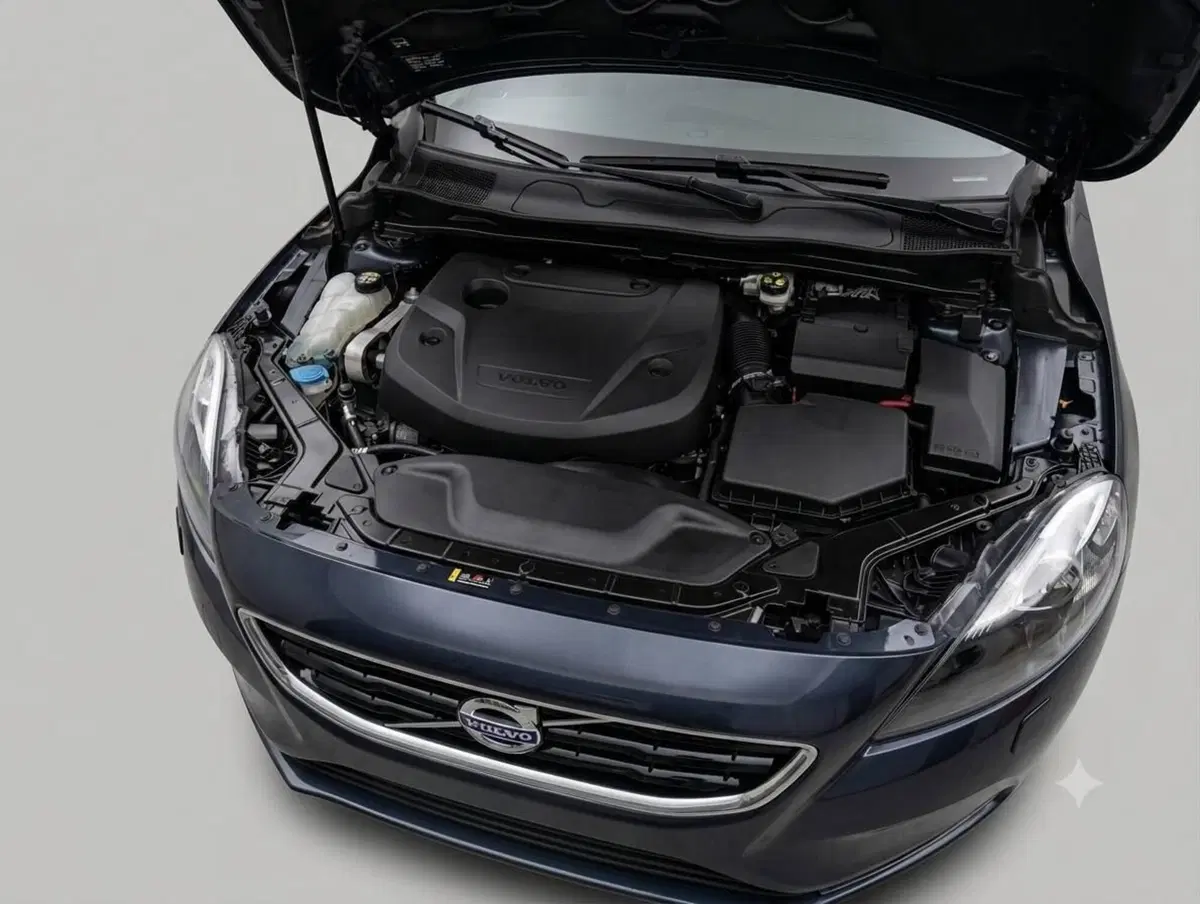 Volvo V40 usata a Treviso (2)
