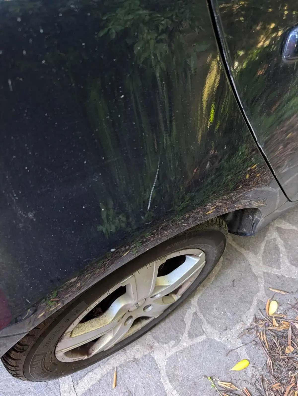 Volvo V40 usata a Treviso (7)