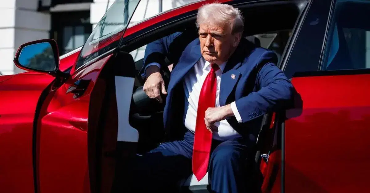 Auto elettriche, Donald Trump all'attacco: "Chi le guida &egrave; malato"