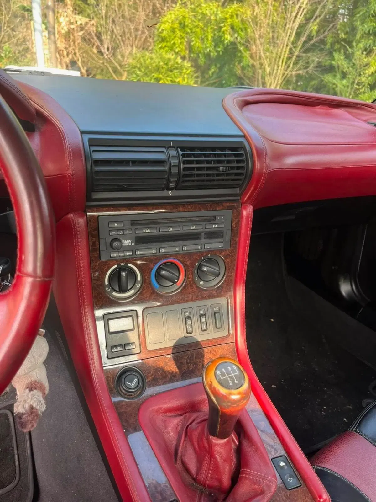 BMW Z3 Cabrio usata a Varese (8)