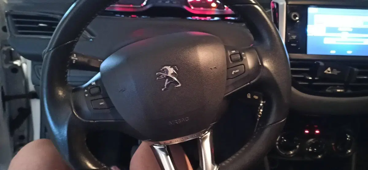 Peugeot 208 usata a Varese (12)