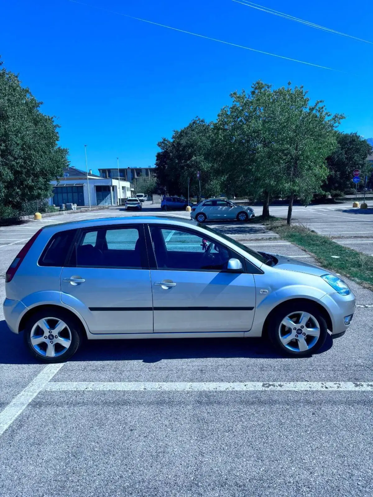 Ford Fiesta usata a Cuneo (3)