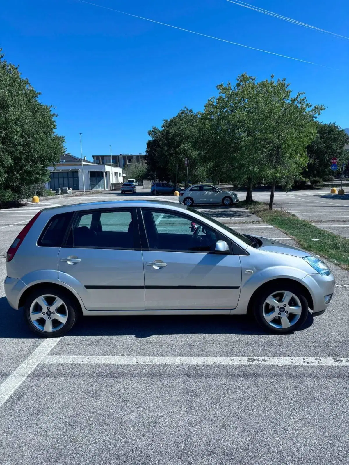 Ford Fiesta usata a Cuneo (4)