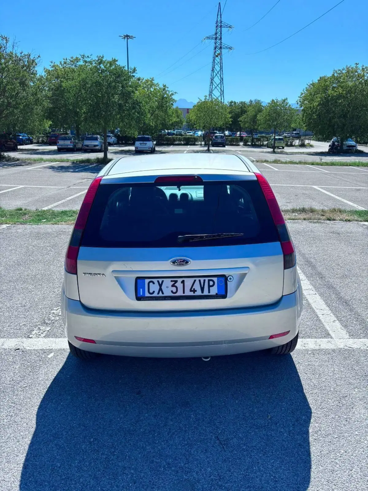 Ford Fiesta usata a Cuneo (9)