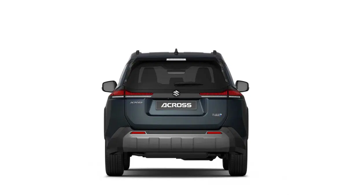 Suzuki Across (7)