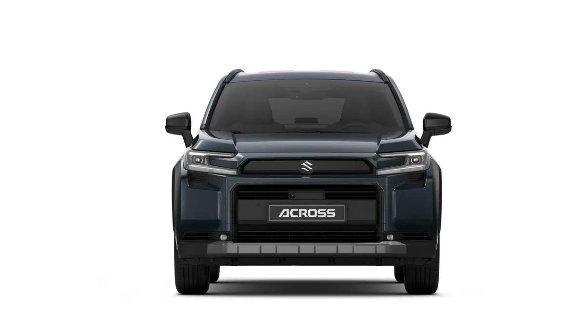 Suzuki Across (6)