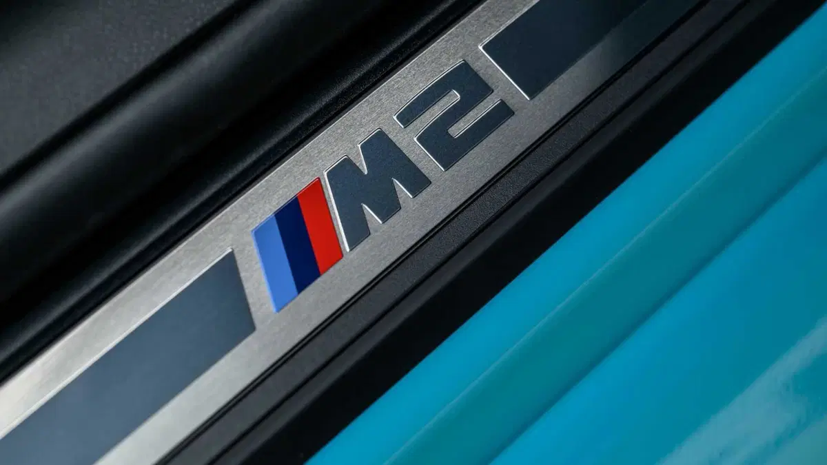 BMW Serie 2 Coupé M2 Coupe 3.0 M xdrive 480cv auto (21)